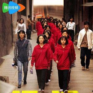 山花烂漫时2024,2024年春日赏花指南