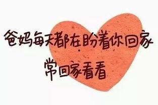 被休回家后她却好运连连,她如何好运连连逆袭人生